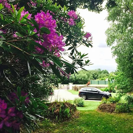 Bed & Breakfast Lissadell Co.kerry *